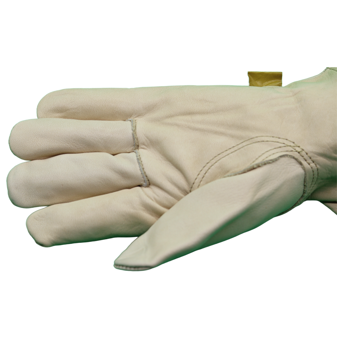 T1512 Premium Grade Cowhide Leather Driver Gloves, Elastic Enclosure, Sizes S-XXL, Sold by Pair