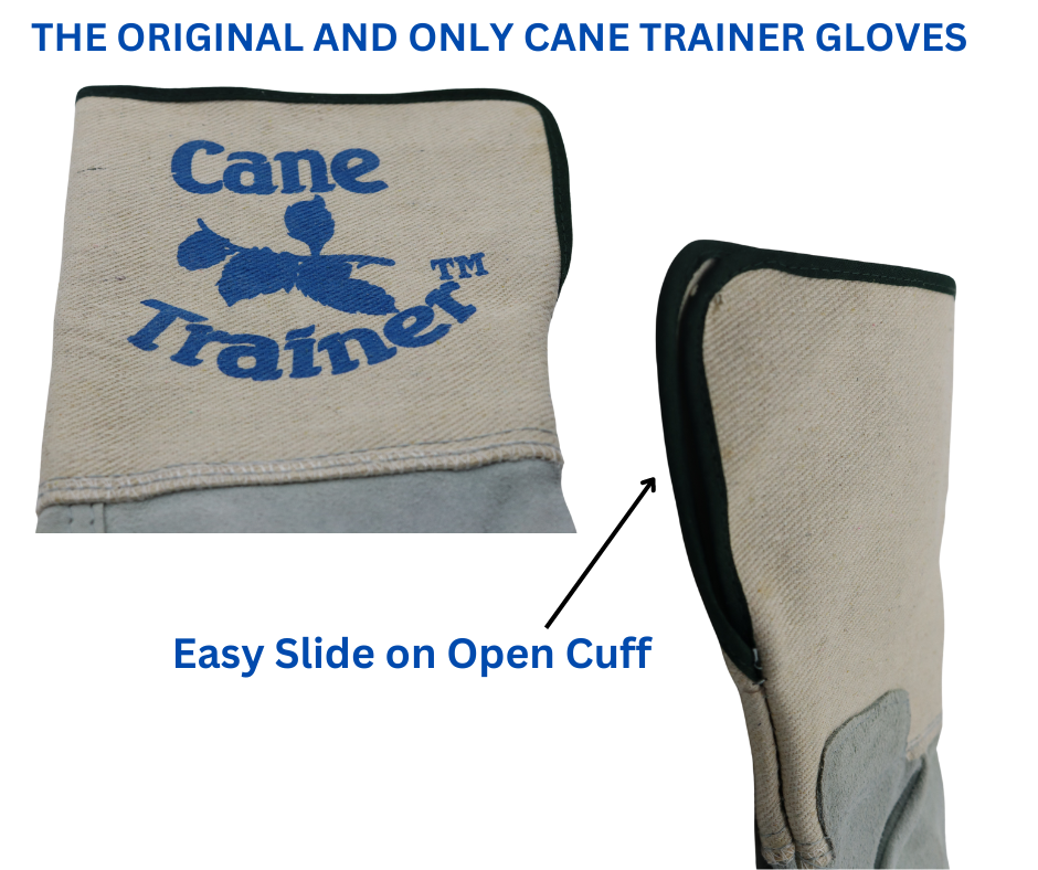 Red Steer 13186CT Heavyweight Suede Cowhide Cane Trainer Gloves – 6" Gauntlet (S–XL)